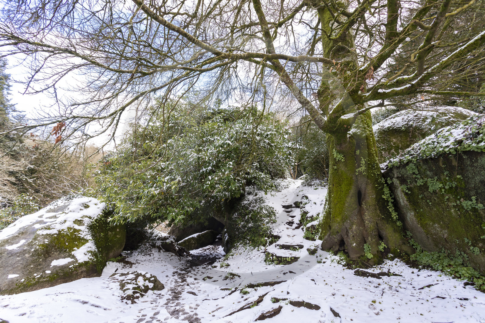 La forêt de Huelgoat, Fiinstère
