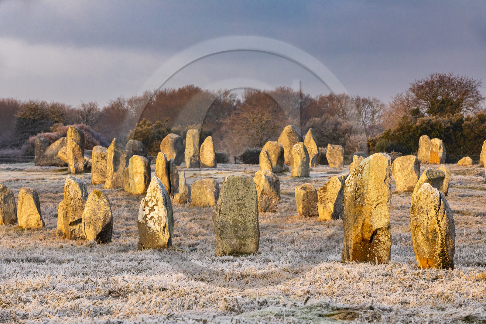 Les alignements du Ménec à Carnac