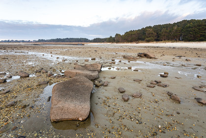 Alignements de Kerdual _ la Trinité sur Mer