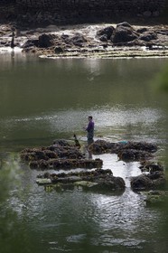 Pecheur dans un parc ostreicole _ la riviere de Crach _ La trinite sur mer .
