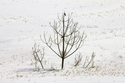 Les Kaolins_Ploemeur (56)