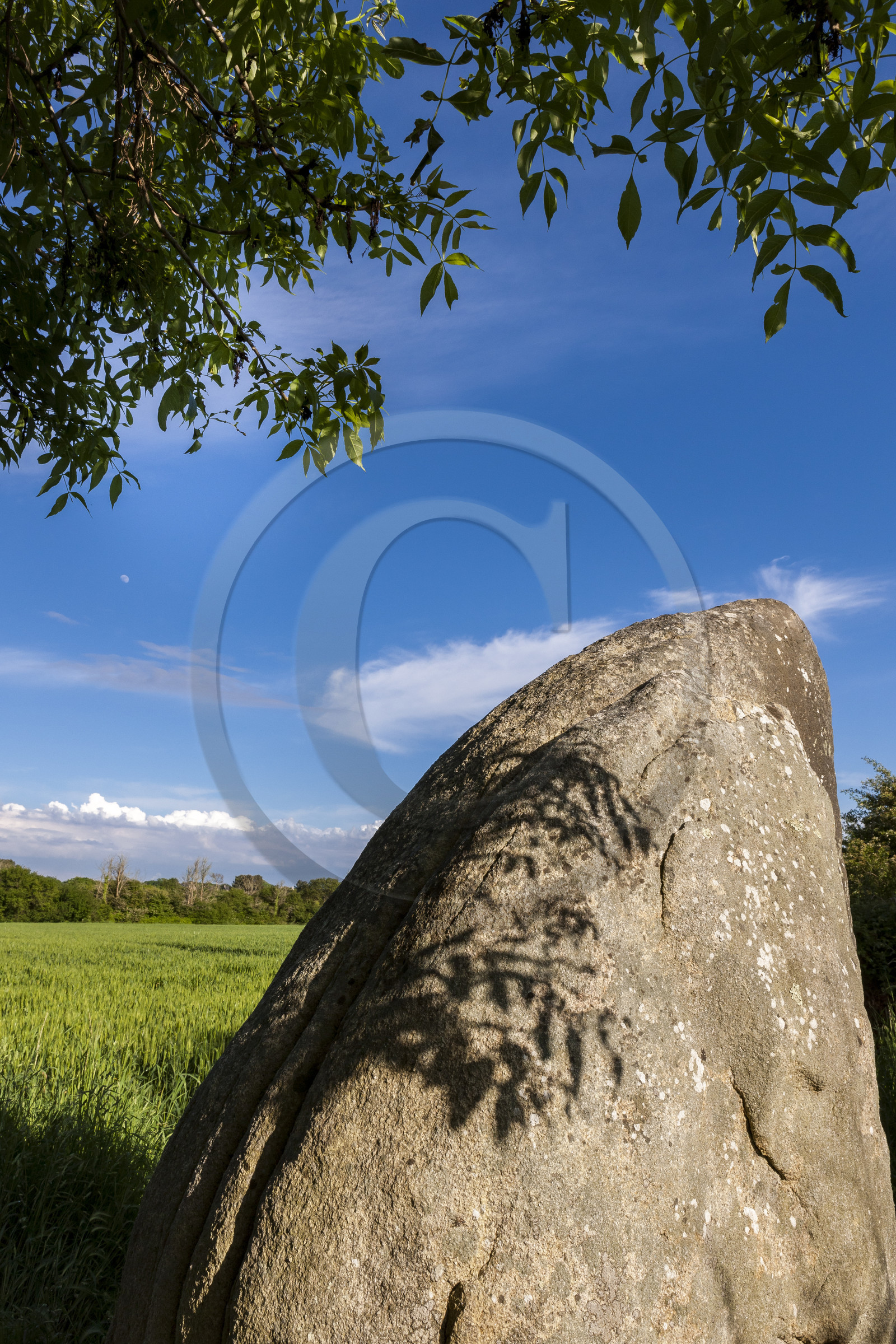 Alignements de Kerzerho _ Erdeven