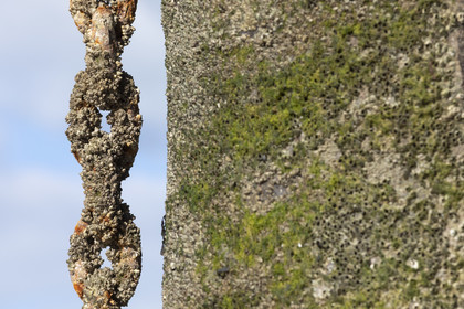 Le port de Gwin Zégal à Plouha