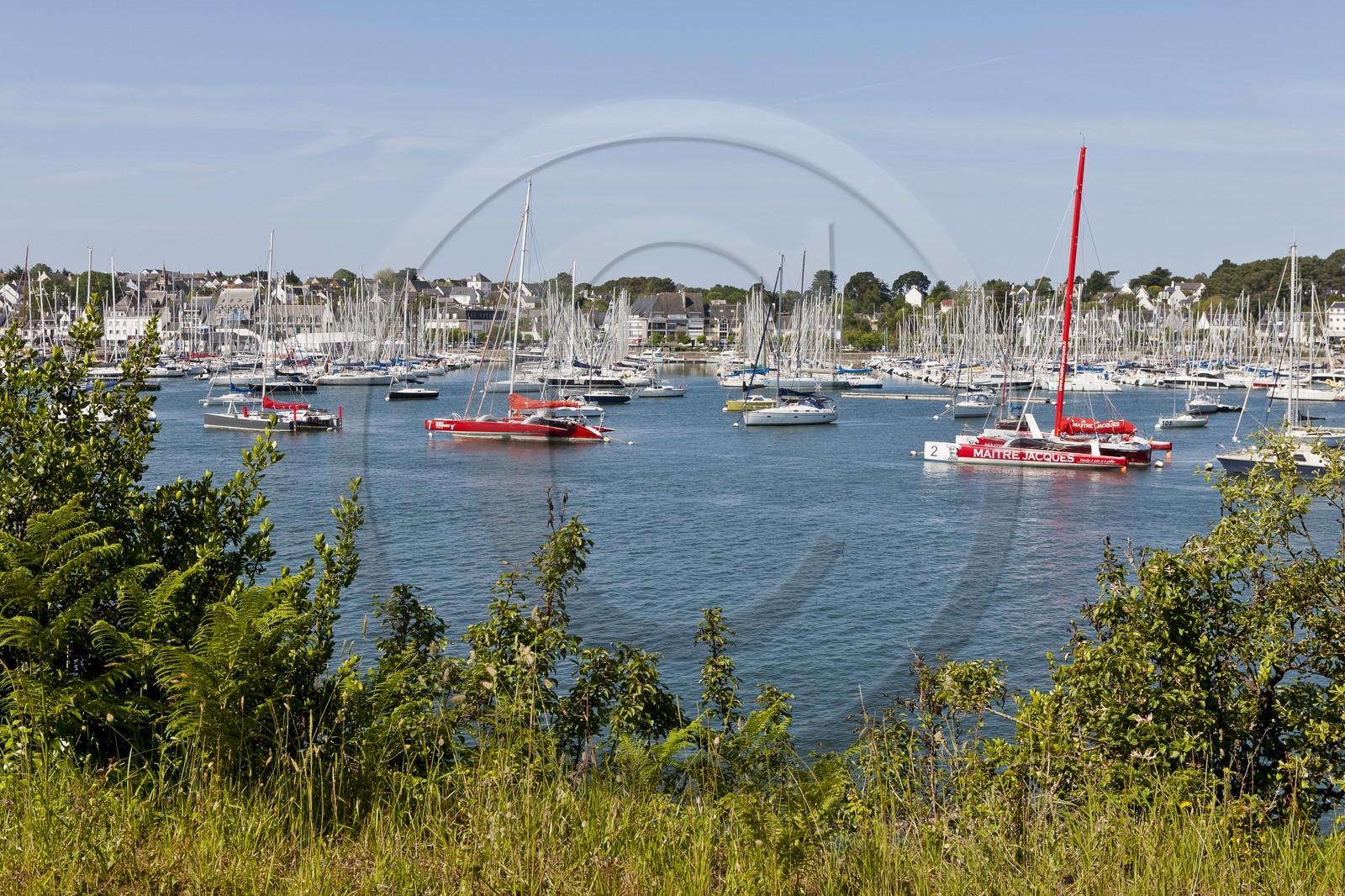 Le port de la Trinite sur mer