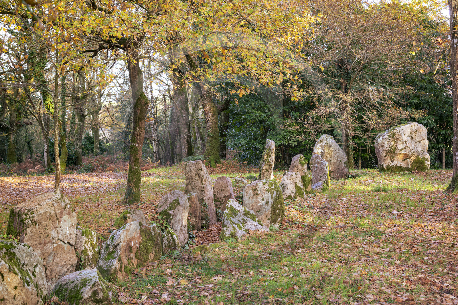 Allée couverte de Luffang Tal-er-Roch à Crach.