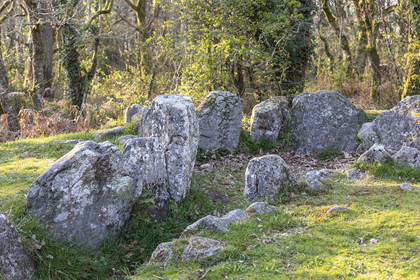 Le site mégalithiques de Mané Bogad à Ploemel