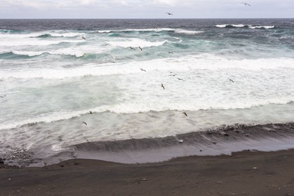 Paysage côtier _Ile de Sao Miguel _Archipel des Açores.