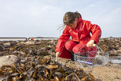 Plage de l'ilôt Saint-Michel à Erquy
