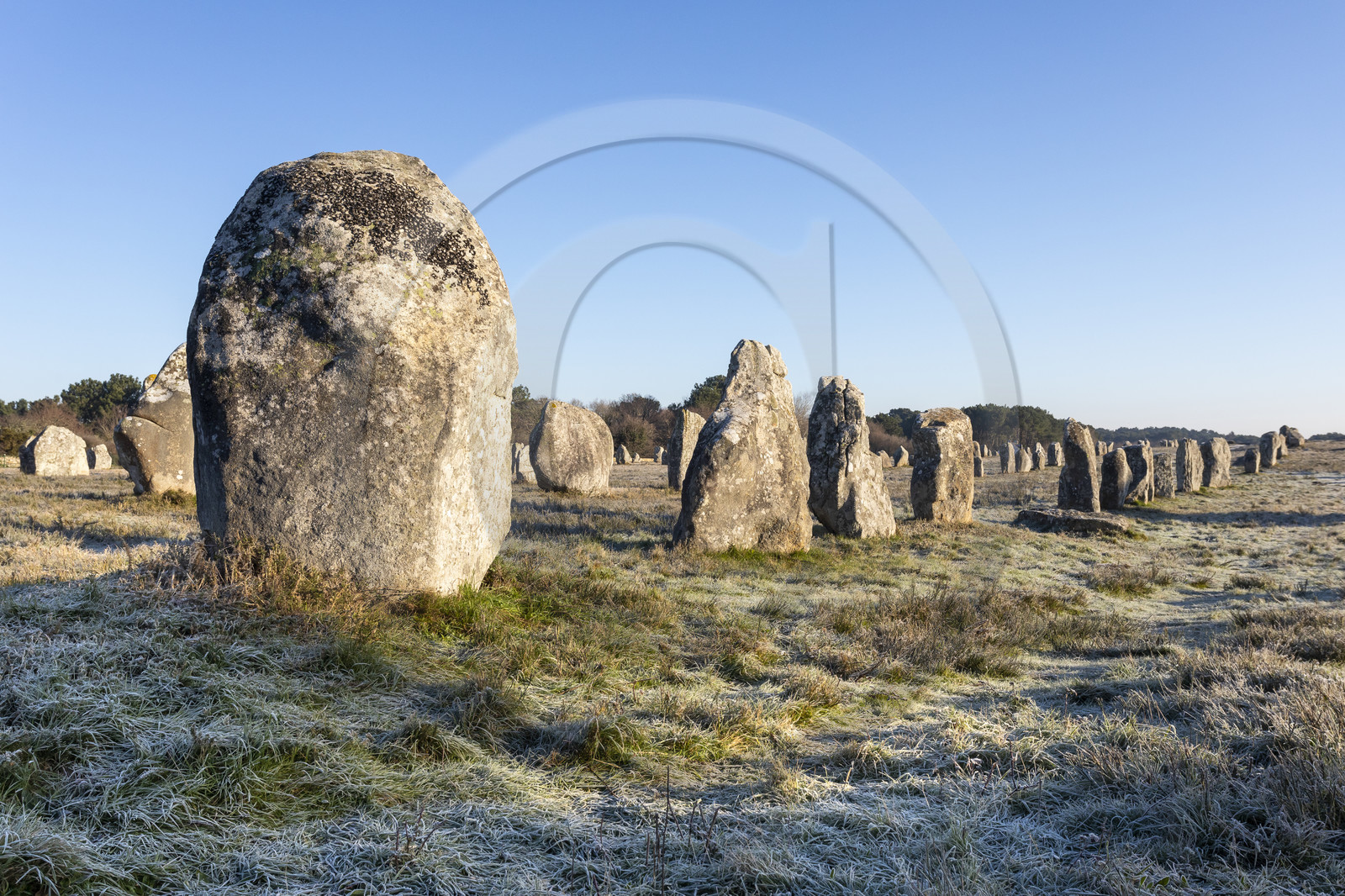 Les alignements du Ménec à Carnac