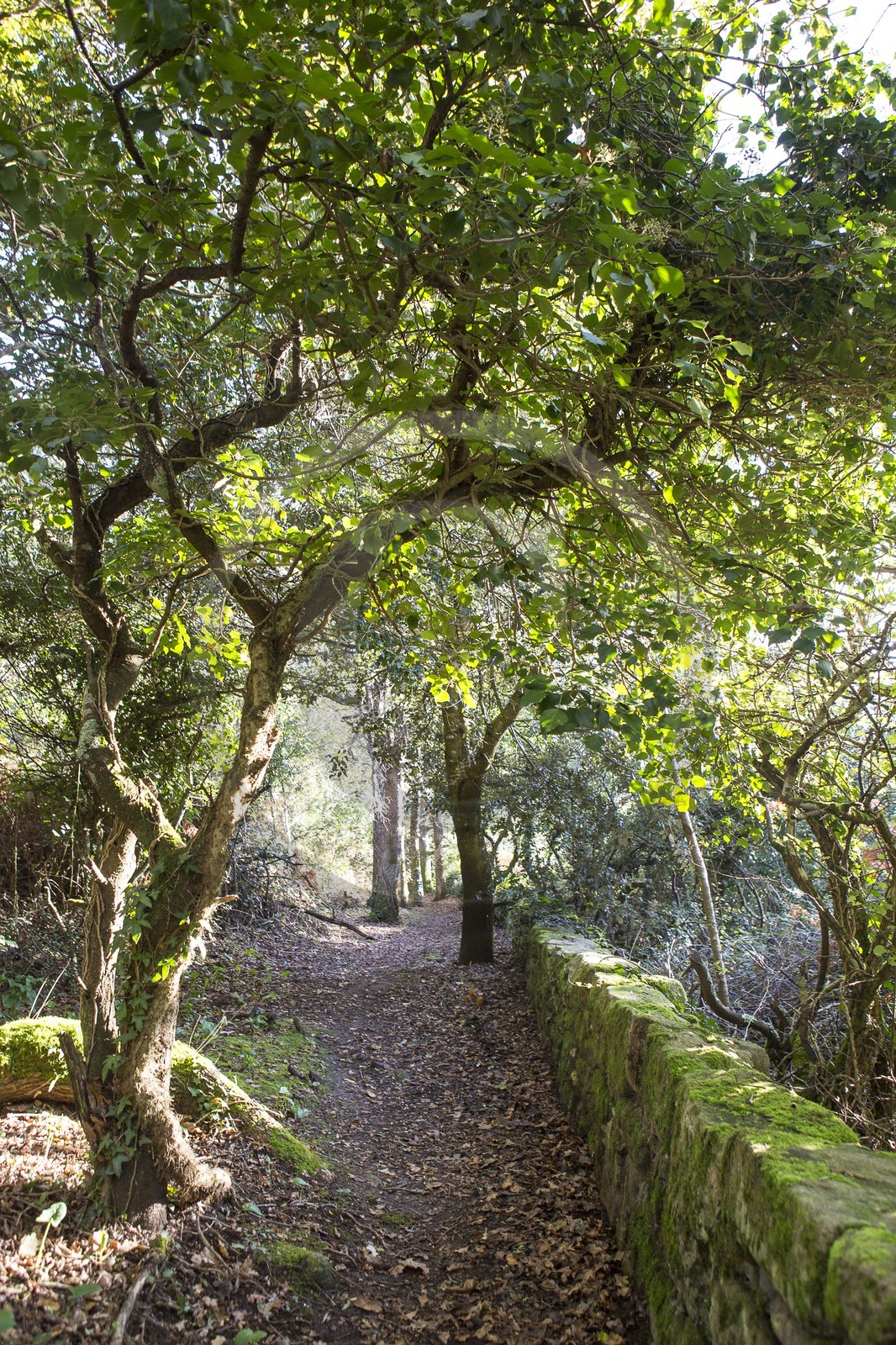 Sentier de la Vigie _ La Trinite sur Mer.
