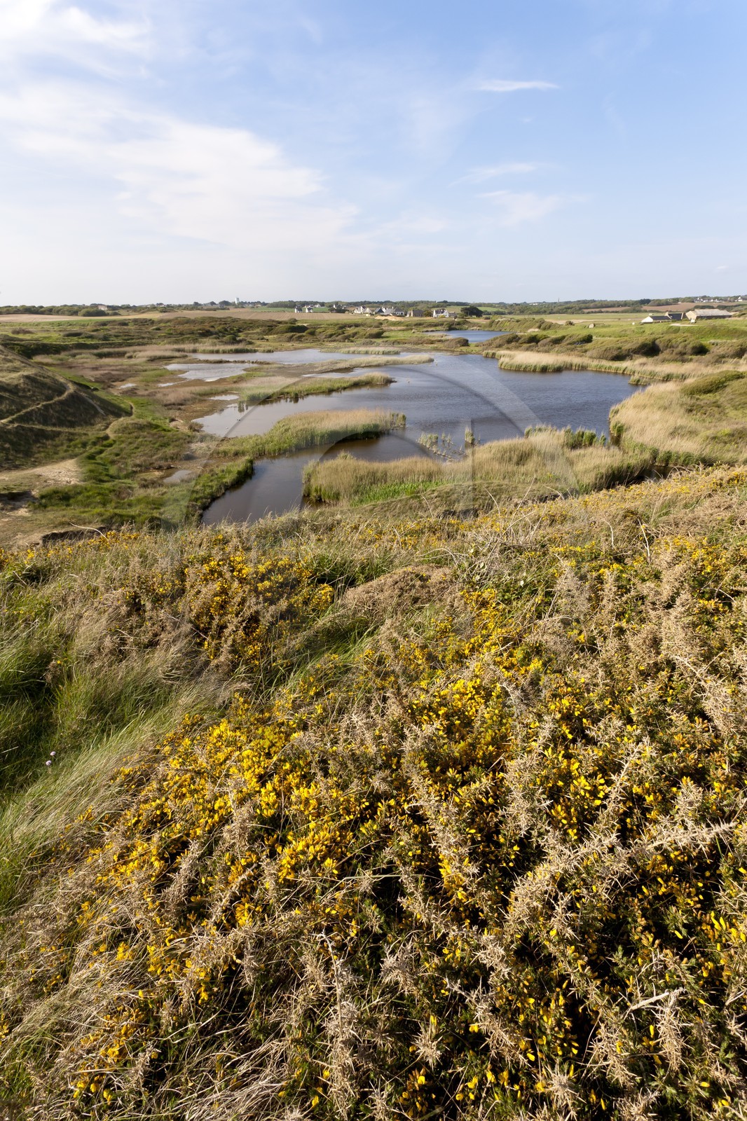 Etang du Loch - Guidel