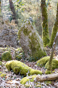 Le site mégalithique Le Castellic à Carnac