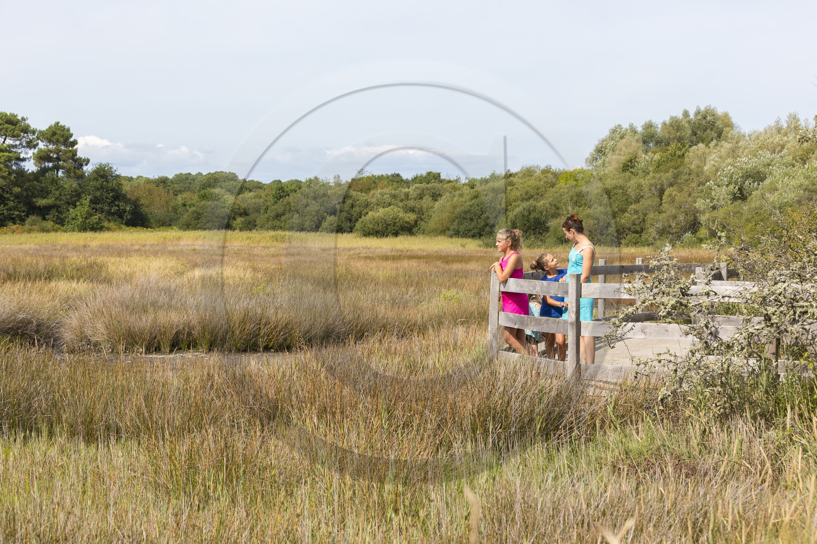 Le marais de Kerguelen à Larmor-Plage