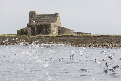 La pointe de Kerbihan _ La Trinité sur Mer