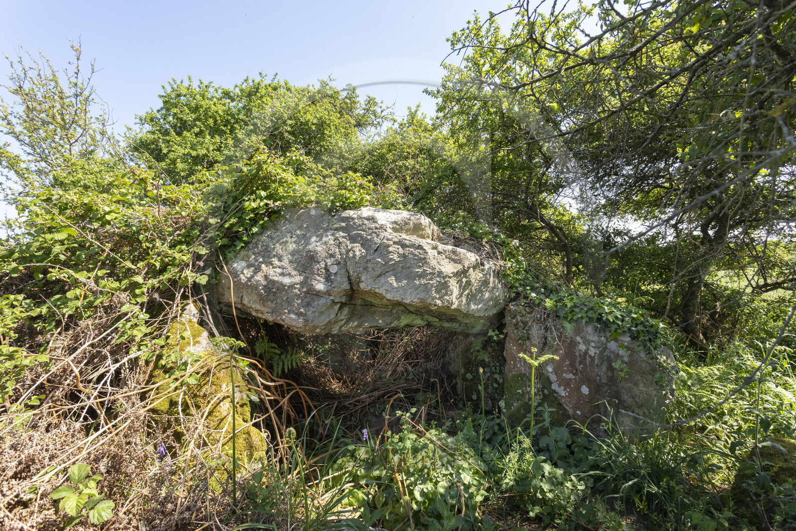 Allée couverte du Net _ Saint-Gildas-de-Rhuys