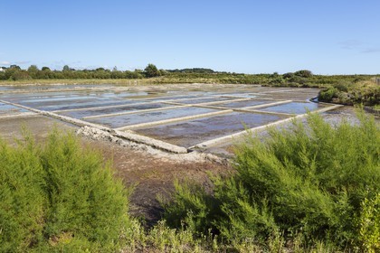 Les marais salant du site de Kervillen. La Trinite sur mer