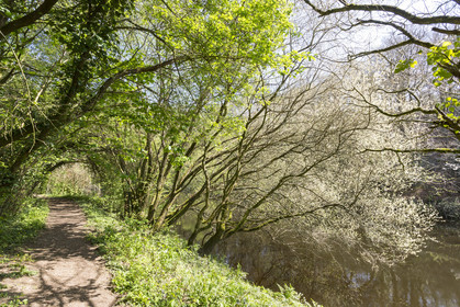Paysage en bordure du Scorff. Pont-Scorff
