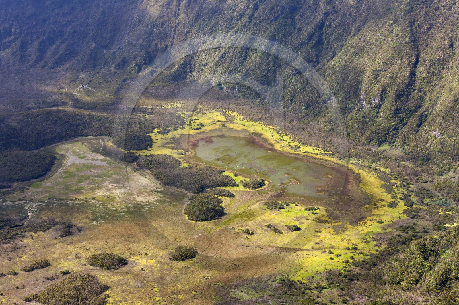Caldeira de Faial _ les Açores