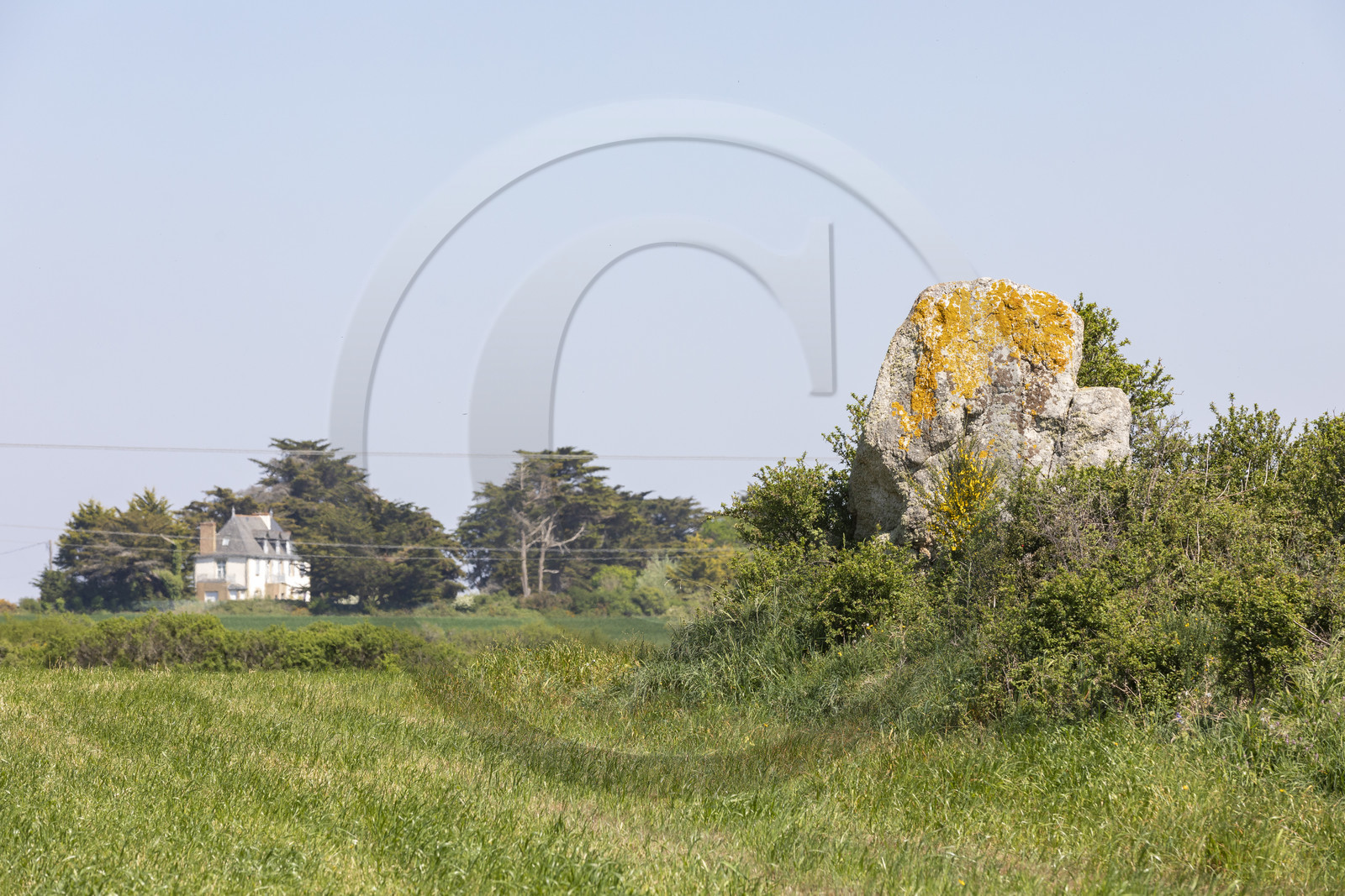 Menhir du net. Saint-Gildas-de-Rhuys
