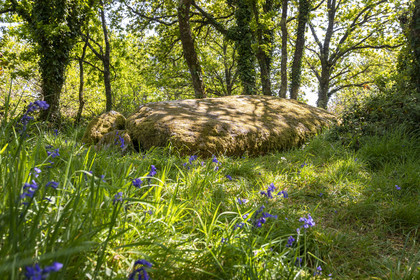Dolmen de Men Hiaul (Kerblay) à Sarzeau