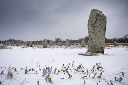 20210211_Carnac_19A8081