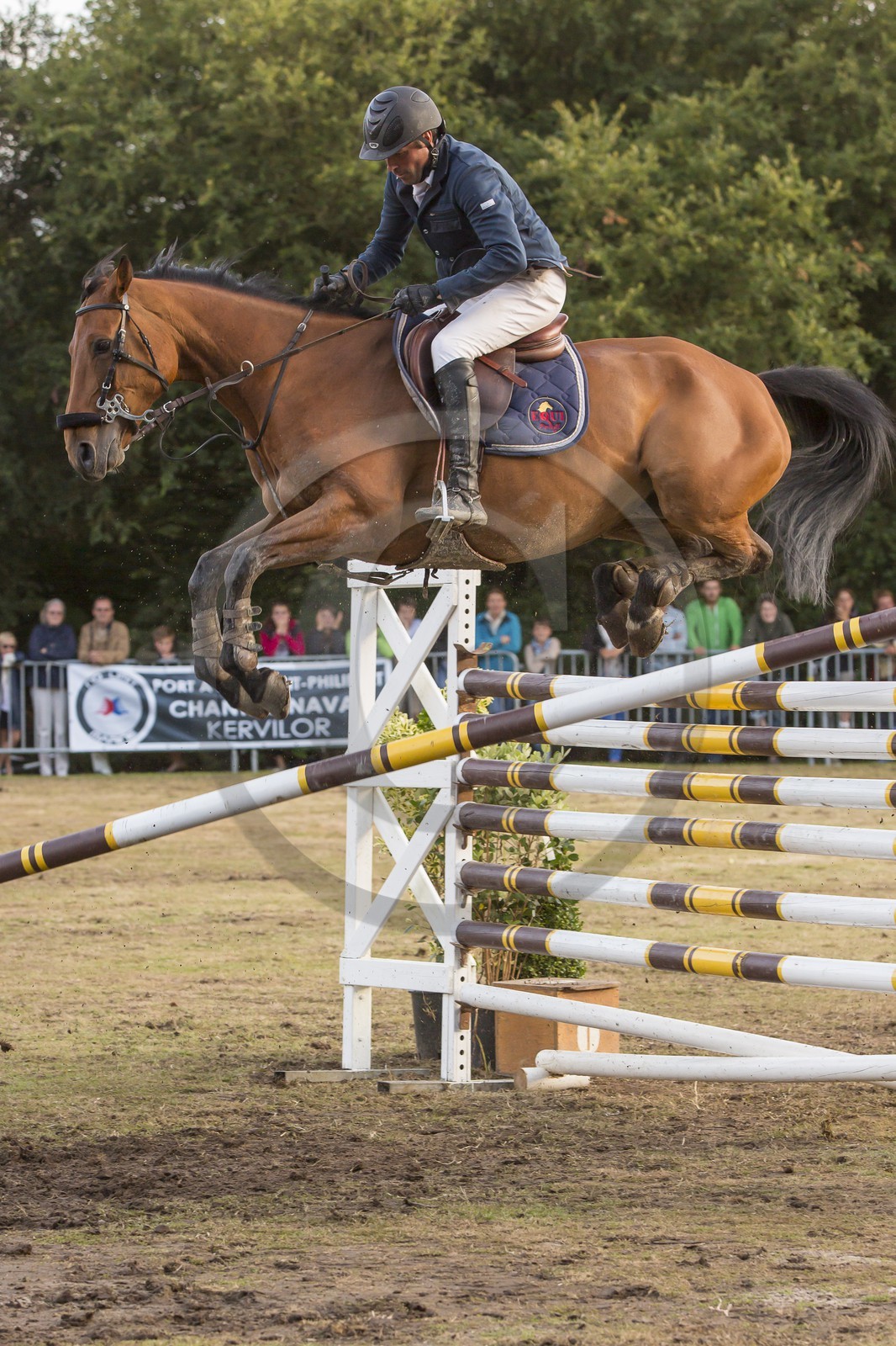 concours equestre _ la Trinite sur Mer ( 56 )