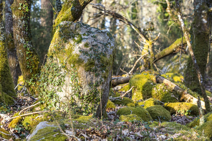 Le site mégalithique Le Castellic à Carnac