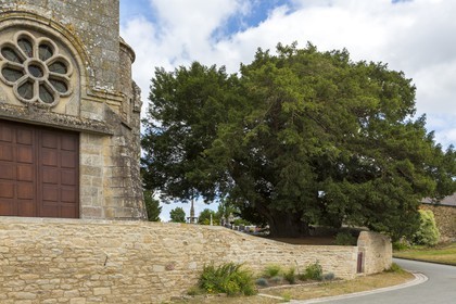 IF _ Eglise Saint Maudez _ Saint Maudez ( 22 )