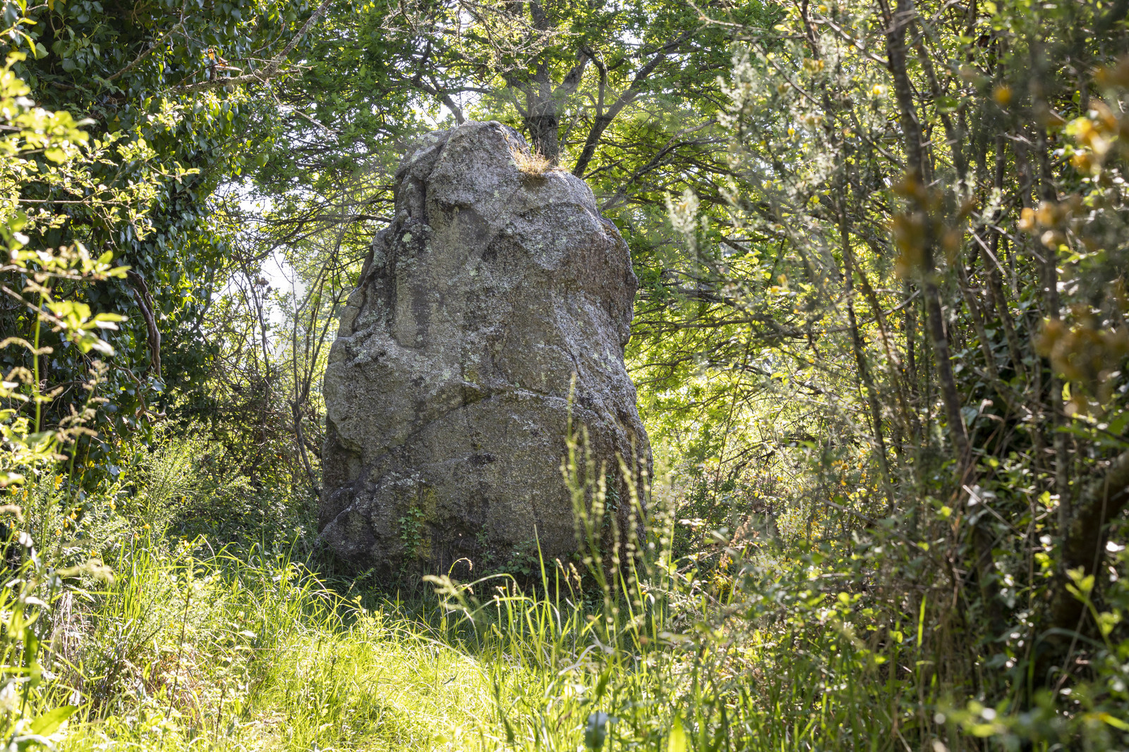 menhir de Men er Palud _ Saint-Gildas-de-Rhuys