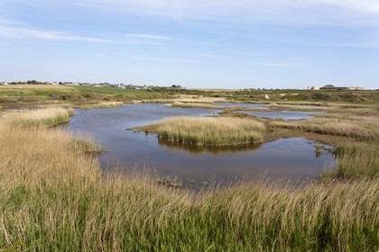 Etang du Loch - Guidel
