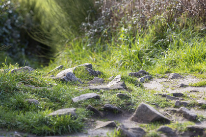 Tumulus de Tumiac à Arzon