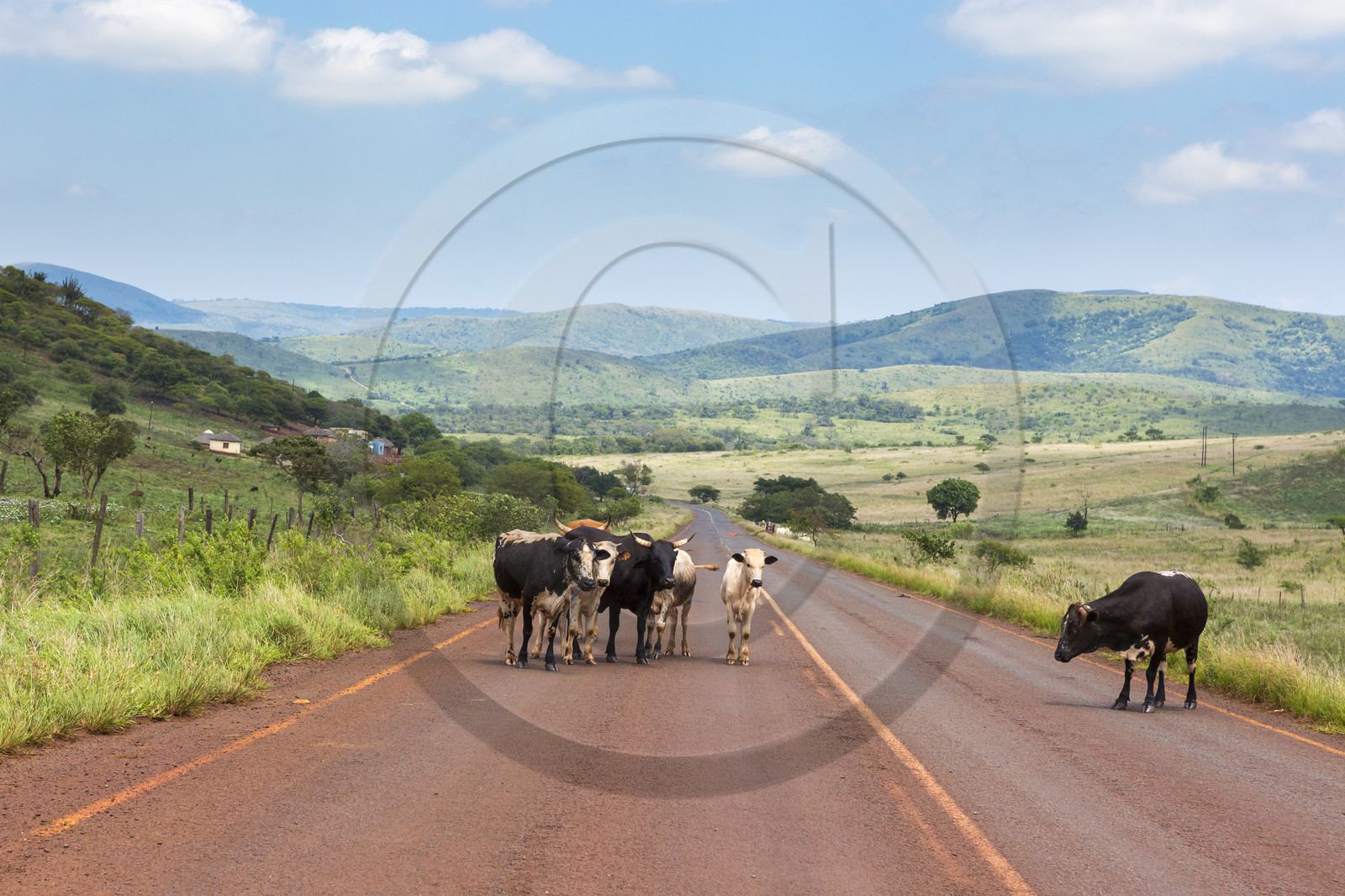 Paysage d'Eswatini ( Swaziland )