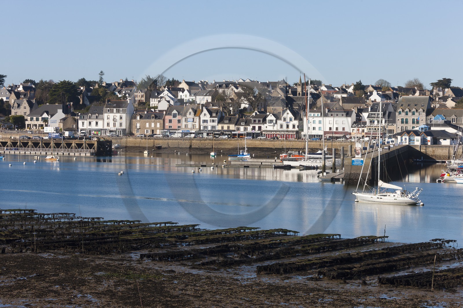 Le port de la Trinite sur Mer