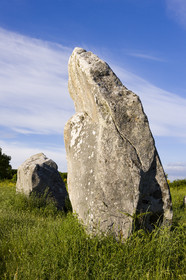 Alignements de Kerzerho _ Erdeven