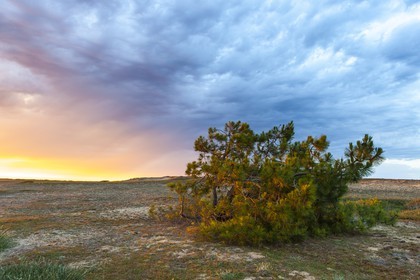 Grand site dunaire Gavres-Quiberon