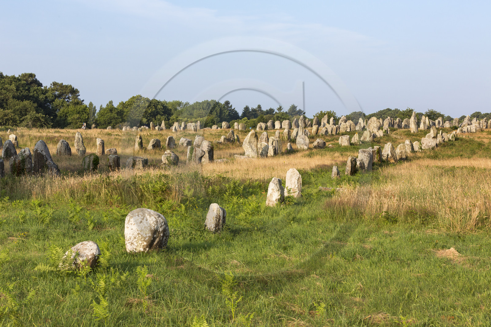 Les alignements de Kermario _ Carnac