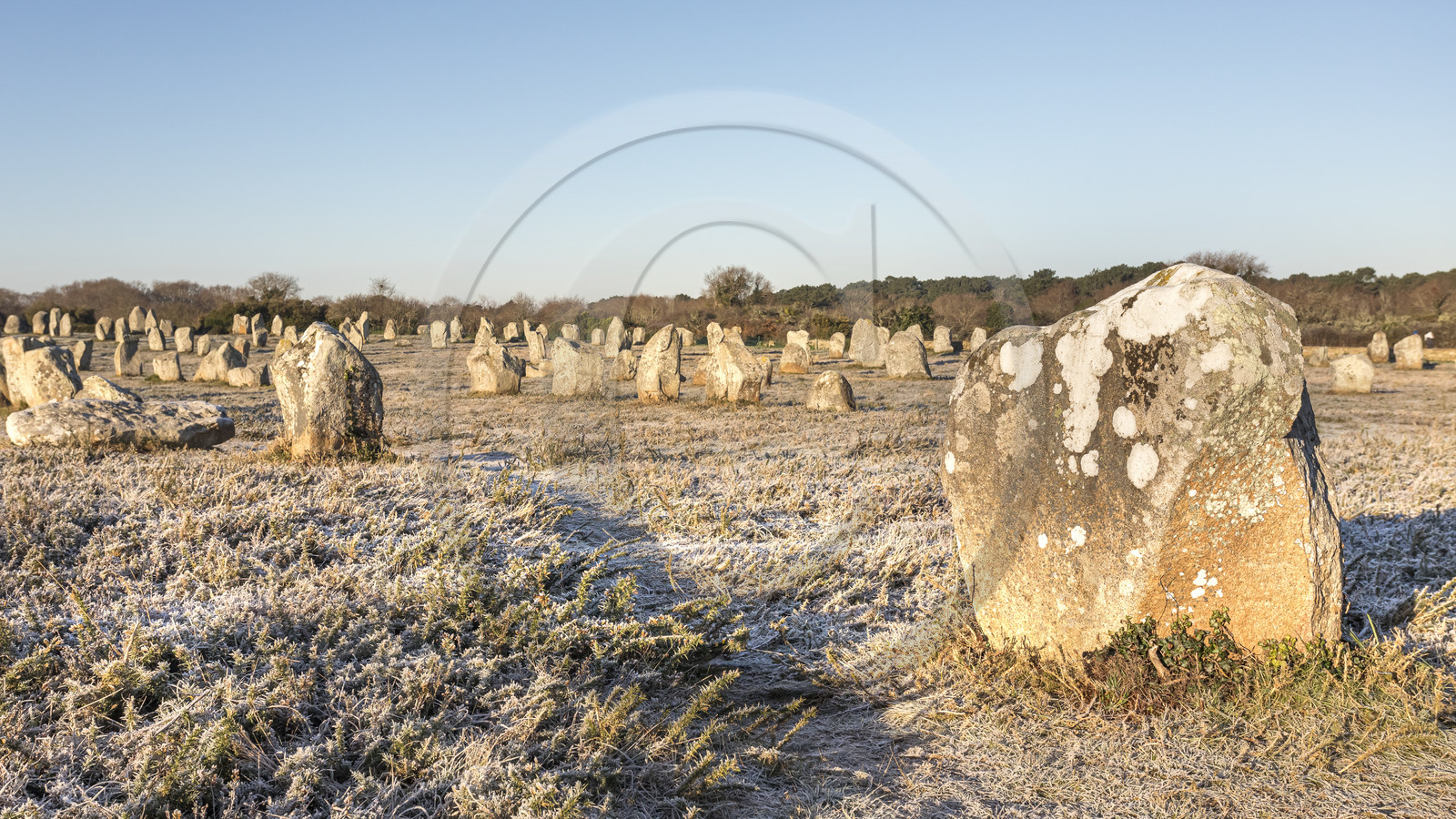 Les alignements du Ménec à Carnac