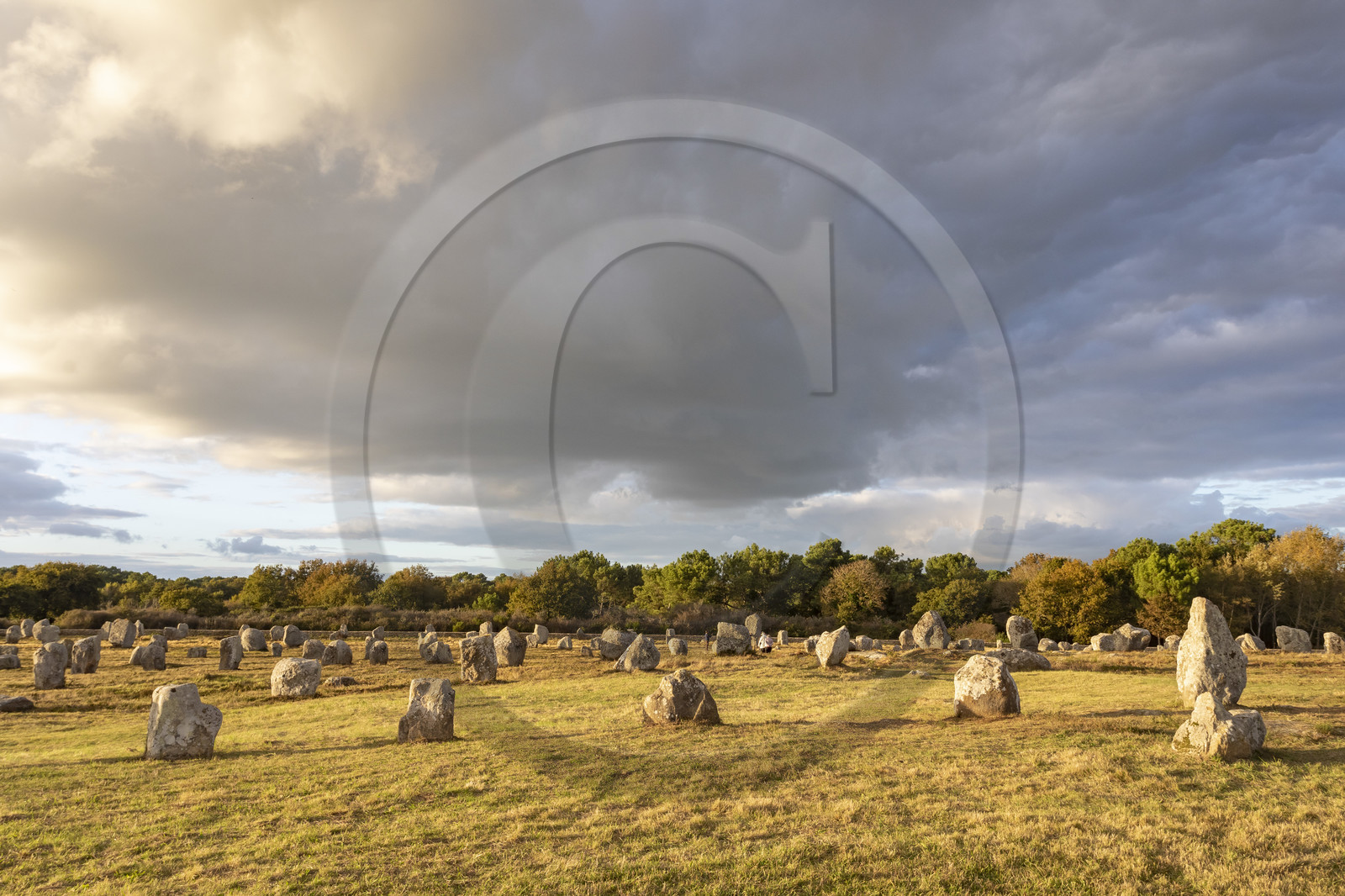 Les alignements du Ménec à Carnac