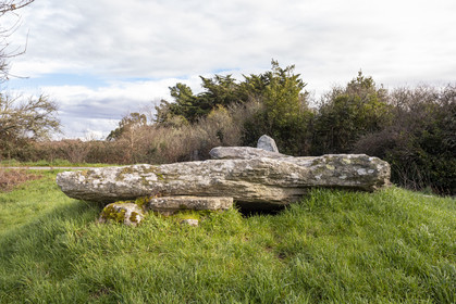 Dolmen du Graniol à Arzon