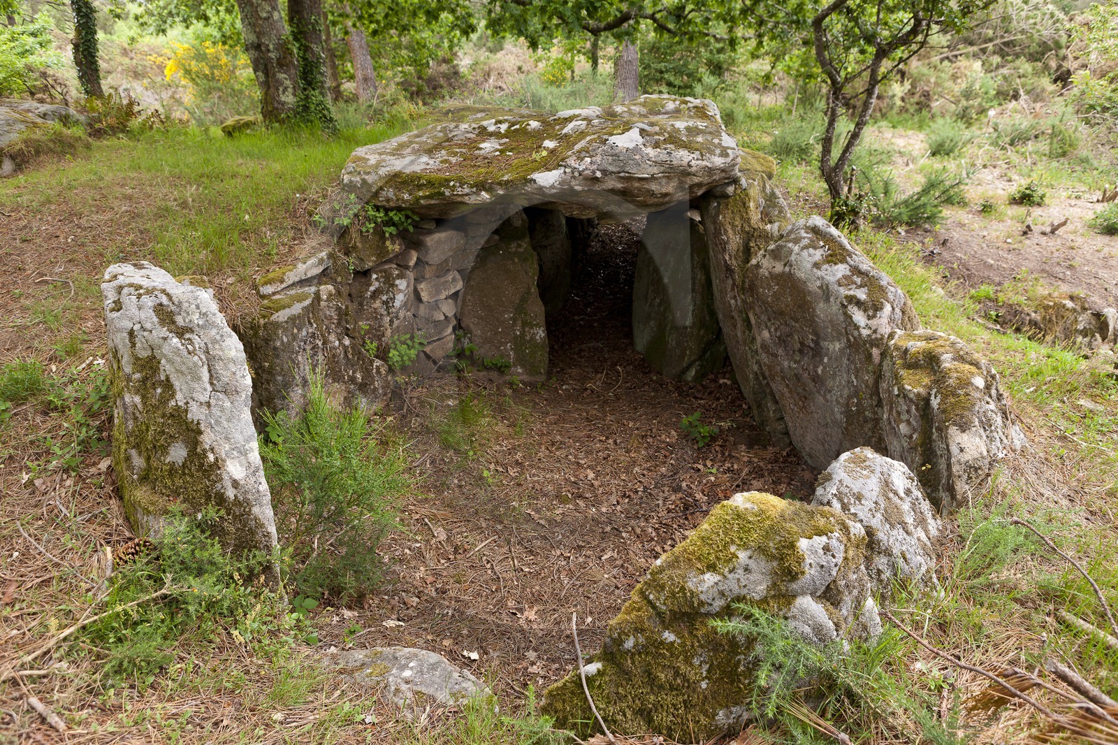 Le dolmen de Mane Bras _ la Trinite sur mer.