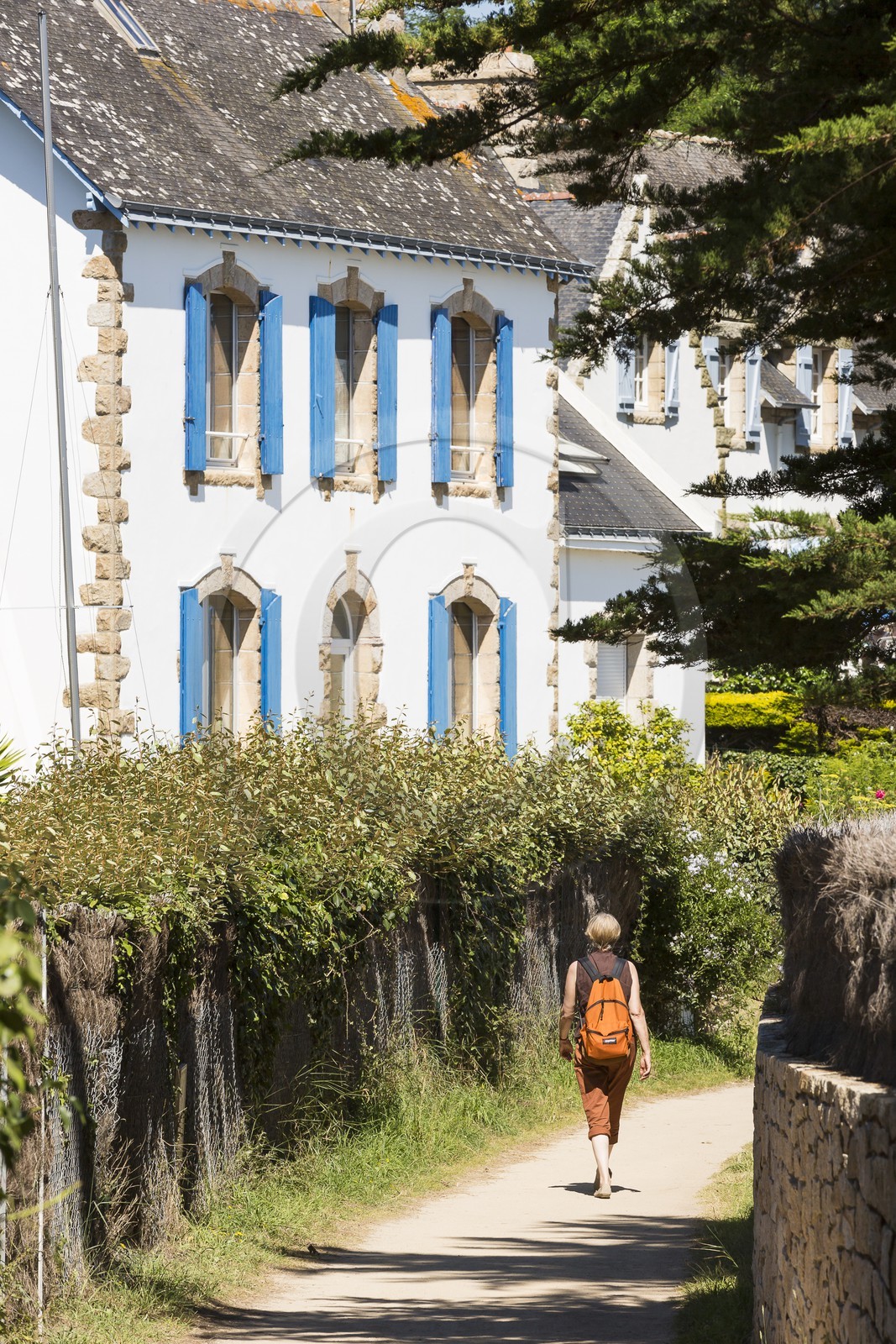Chemin proche de la plage de Kervillen _ La Trinite sur mer