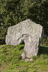 Site mégalithique de Kergonan _ Ile aux moines