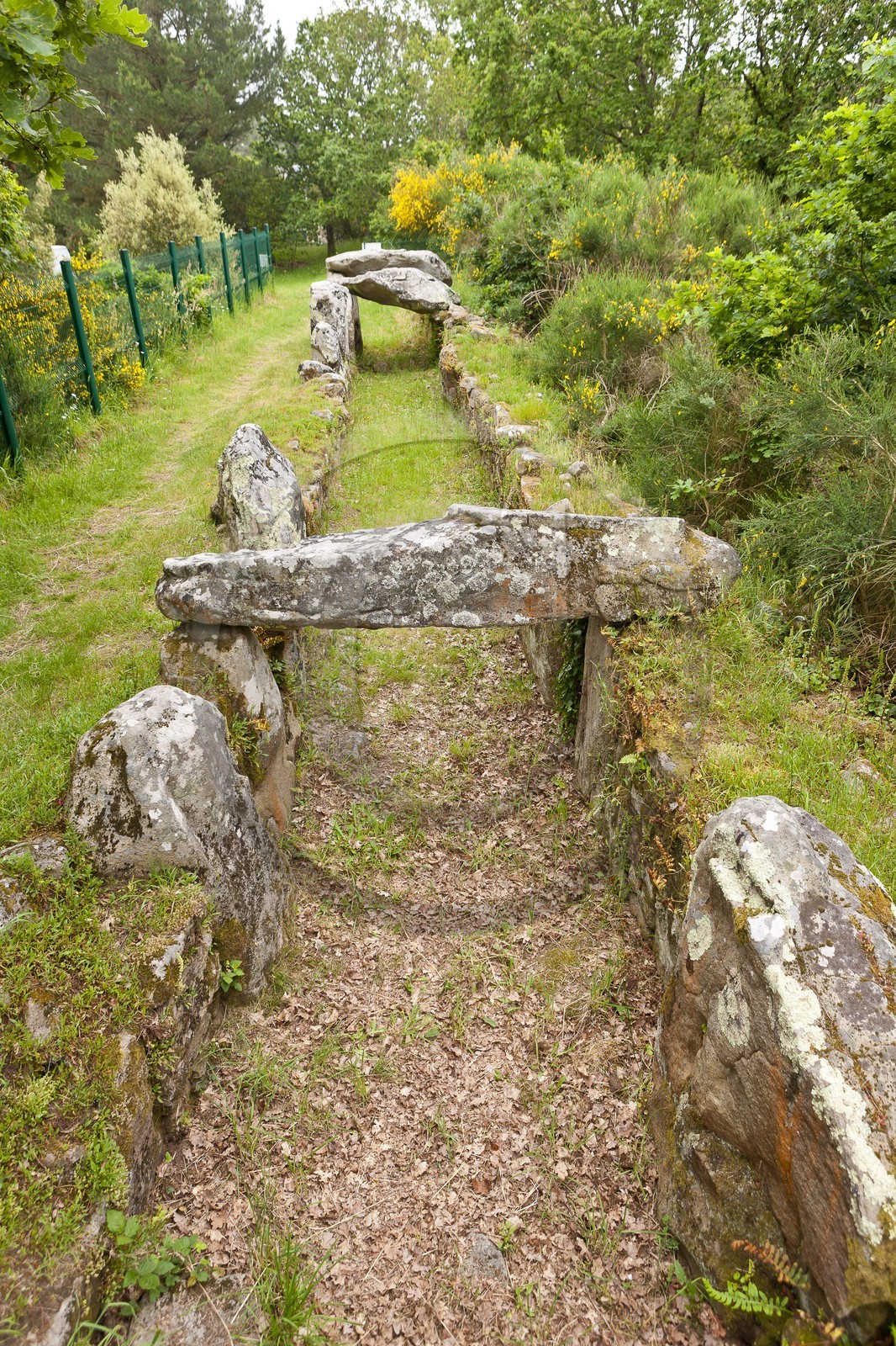 SITE ARCHEOLOGIQUE DE MANE ROULARDE _ LA TRINITE SUR MER