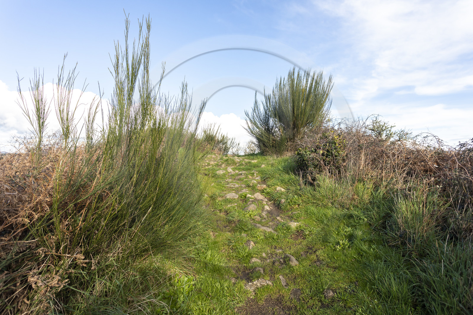 Tumulus de Tumiac à Arzon