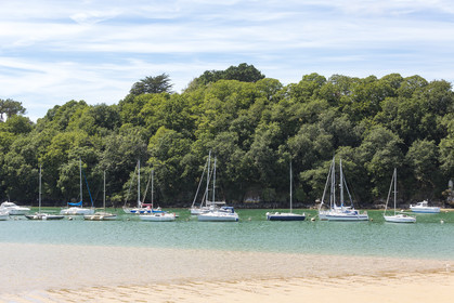 Balade au bord de la rivière Laïta _ Guidel