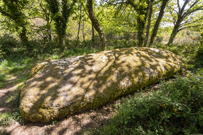Dolmen de Men Hiaul (Kerblay) à Sarzeau
