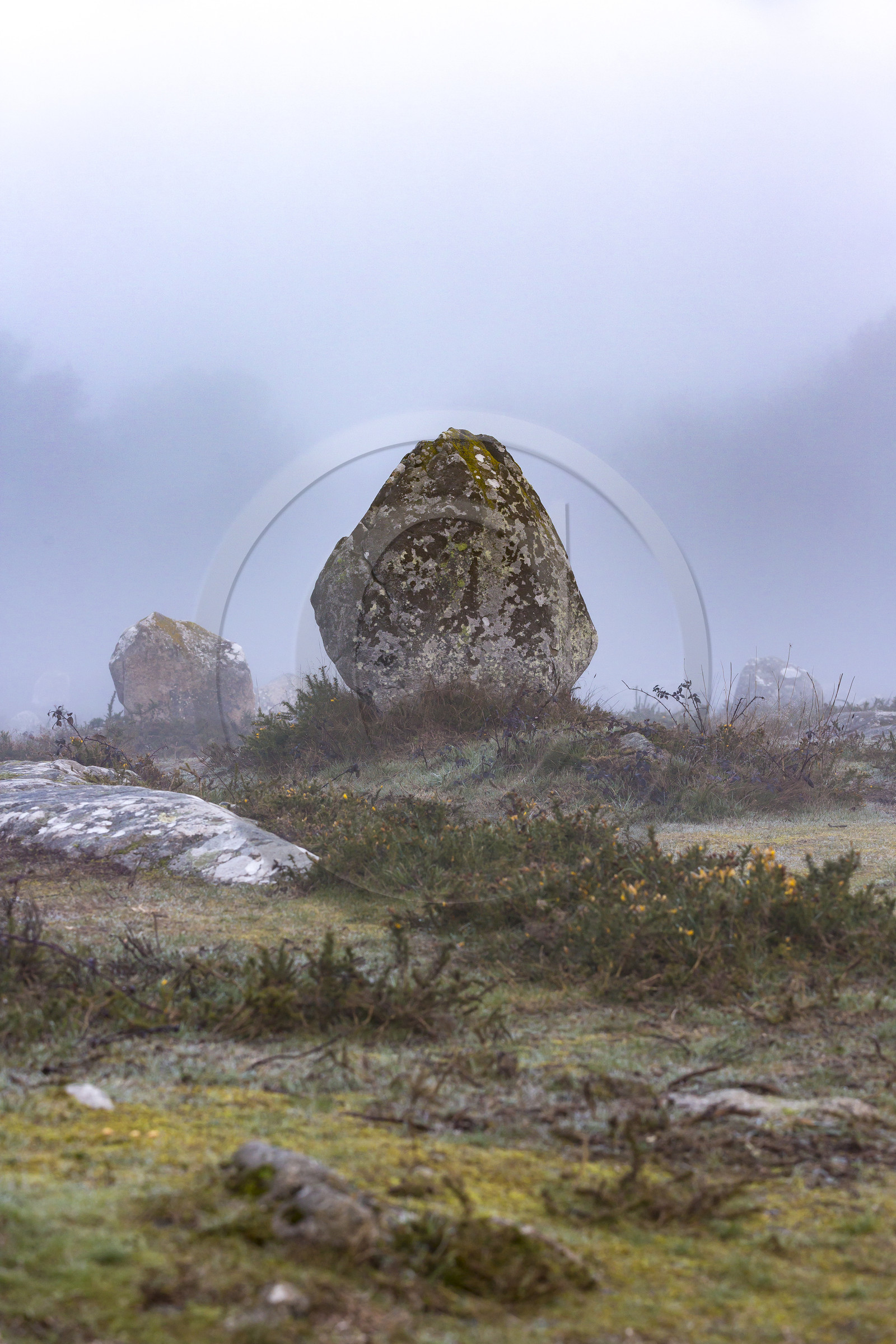 Les alignements du Menec à Carnac