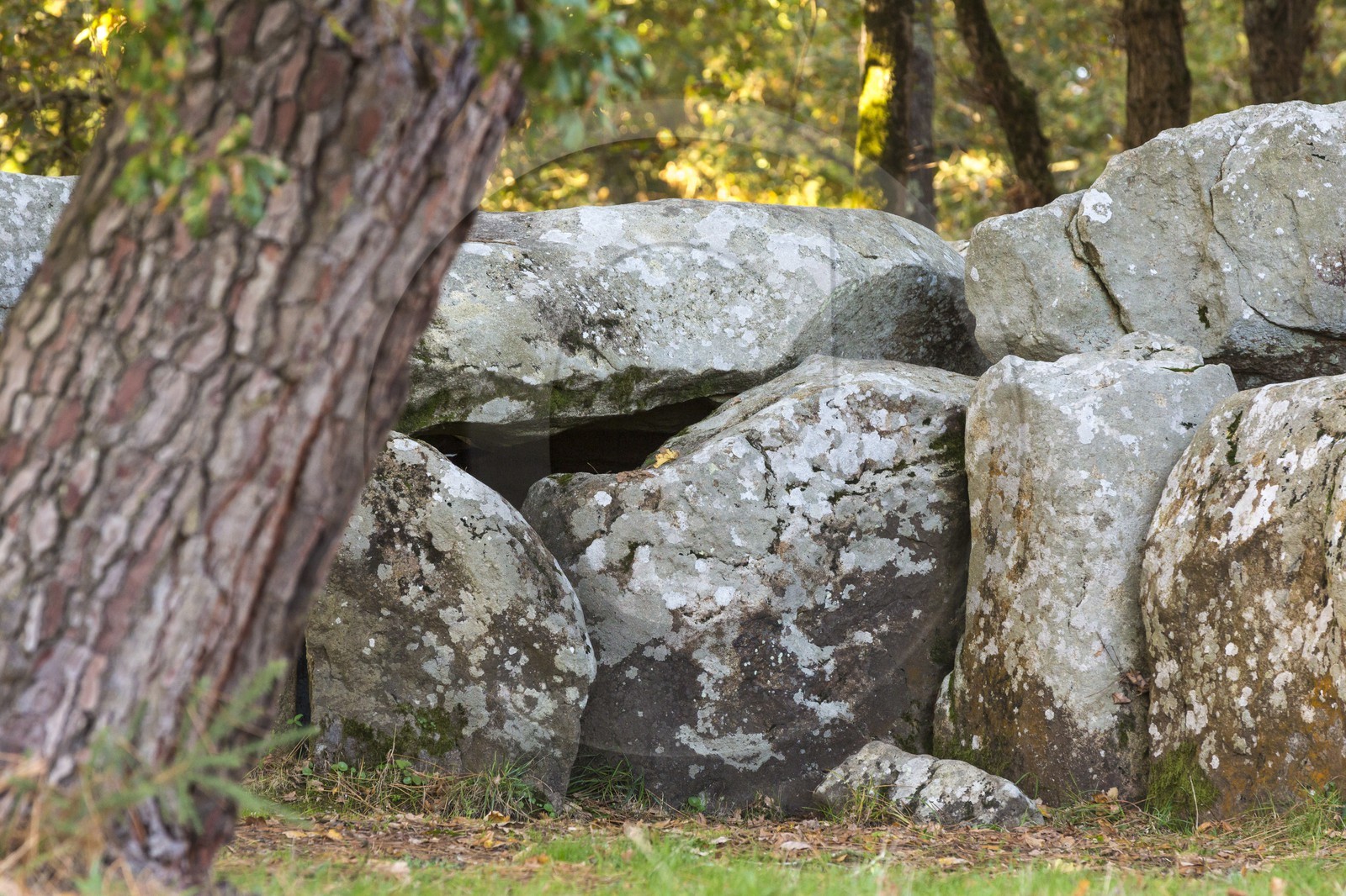 Le dolmen de Mané Groh _ Erdeven