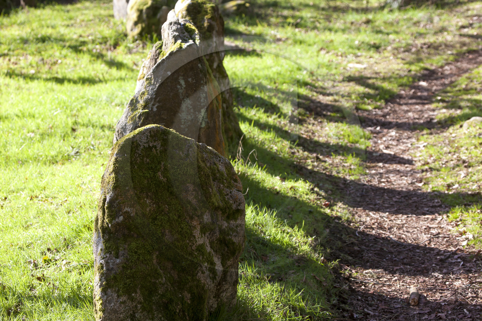 Alignements du Petit Menec _ La Trinite sur Mer