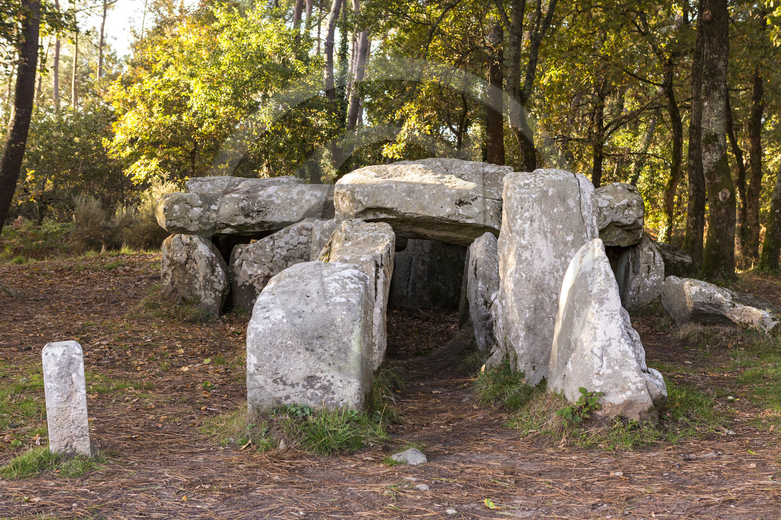 Le dolmen de Mané Groh _ Erdeven